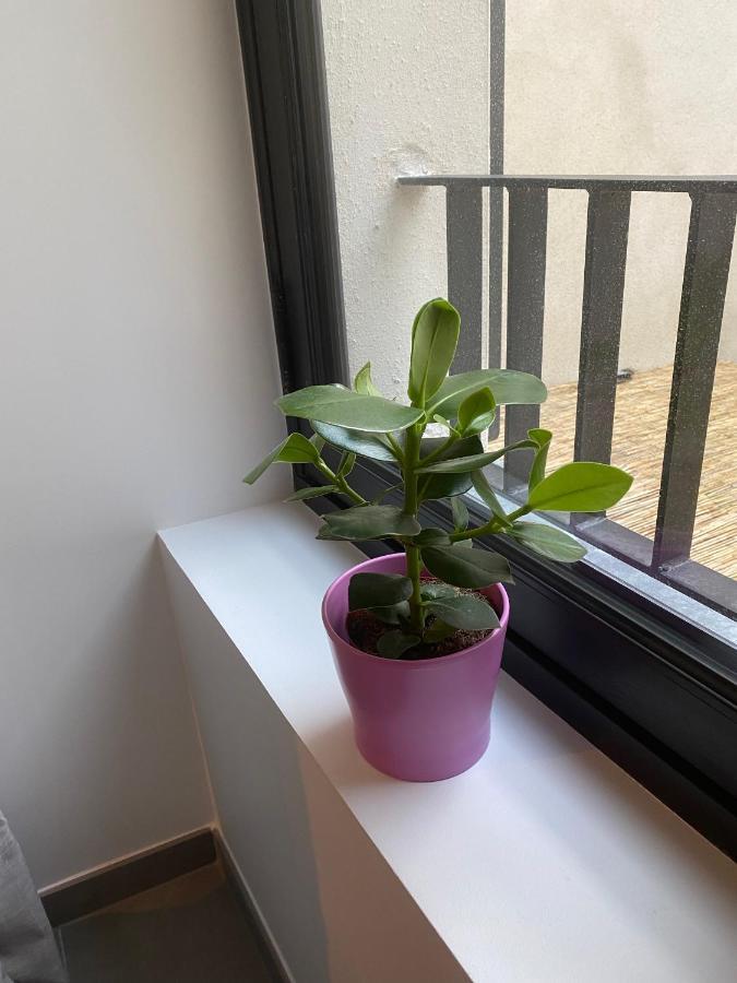 Joli Petit Nid Douillet En Centre Ville La Rochelle  Zewnętrze zdjęcie